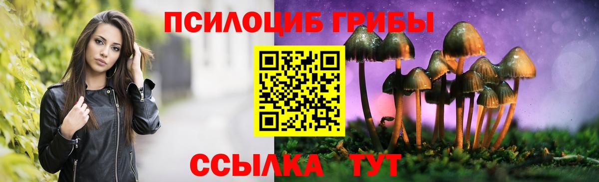 Элиста  Псилоцибиновые грибы мицелий  Вход с VPN  Галлюциногенные грибы мицелий 