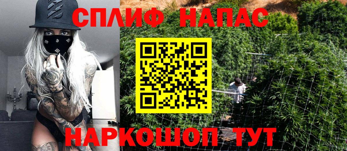 Каннабис Bruce Banner Элиста
